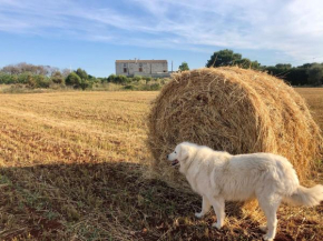 Agriturismo La Palascìa Masseria Agreste Otranto